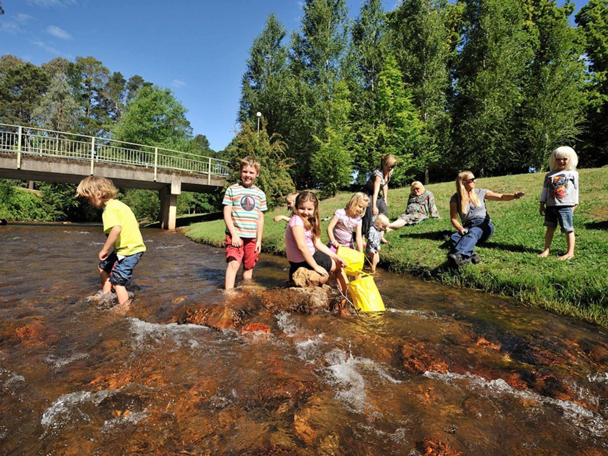Nrma Bright Holiday Park Екстер'єр фото